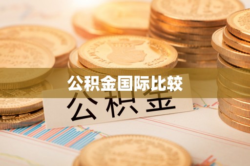 滨江公积金国际比较