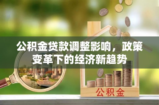 滨江公积金贷款调整影响，政策变革下的经济新趋势